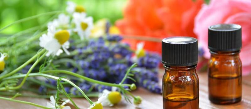 The Top 5 Fungus-Fighting Essential Oils